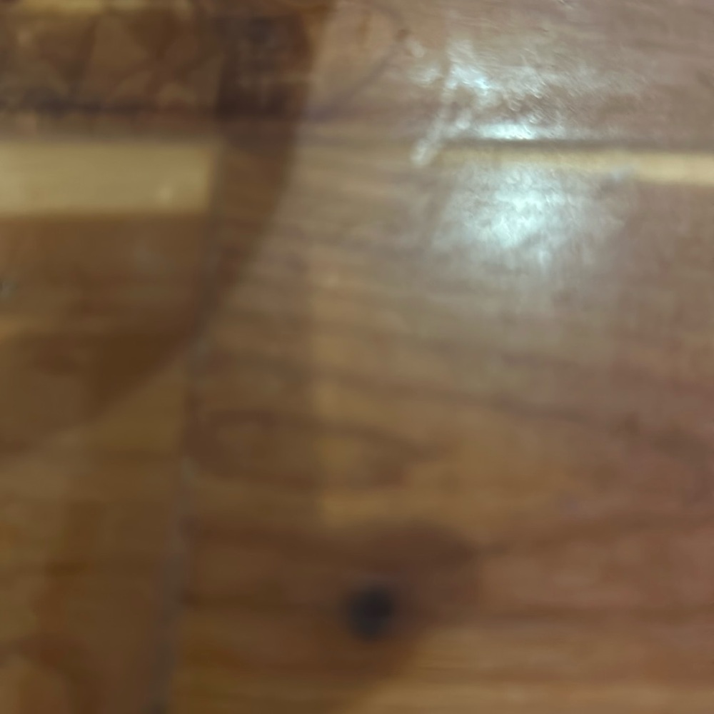 Meet your Posher, Dixie